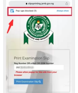 Allow pop-ups as seen here