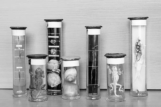 Agricultural Science Specimen for WAEC